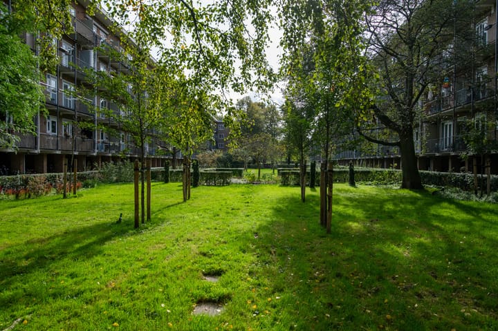 Foto 31 van Geuzenstraat 85-2