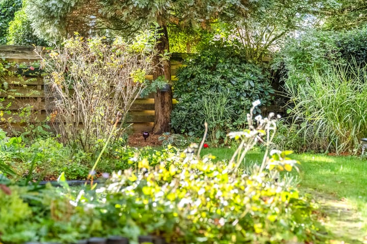 Foto 15 van Goedroenstraat 7