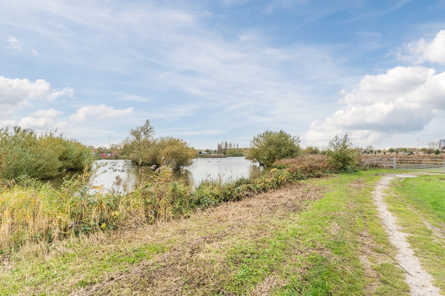 Photo 65 of Adriaan van Royenlaan 35