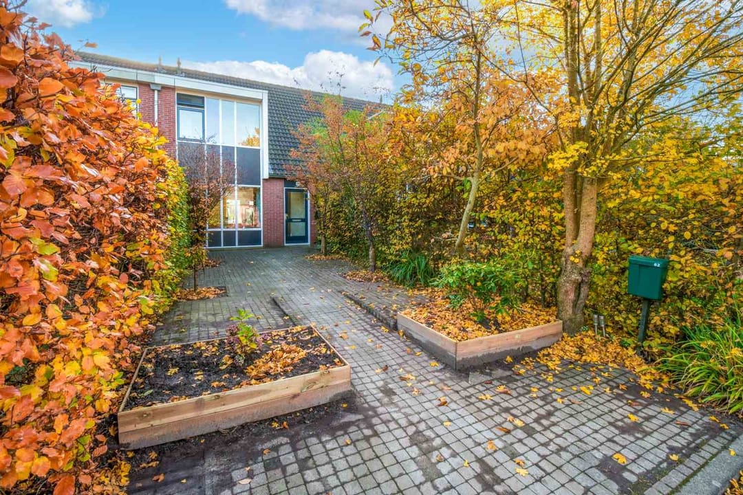 Foto 1 van Dorsvloer 62