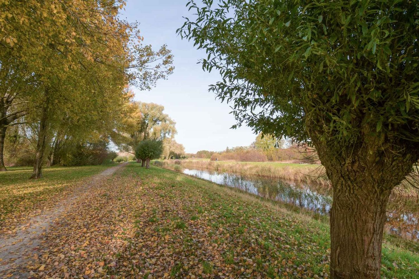 Foto 5 van Dorsvloer 62