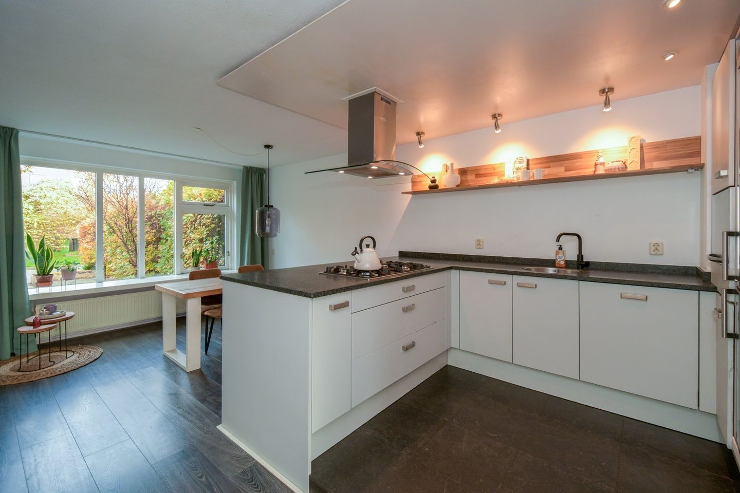 Foto 10 van Dorsvloer 62