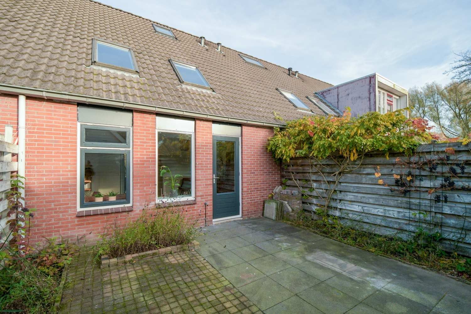 Foto 33 van Dorsvloer 62