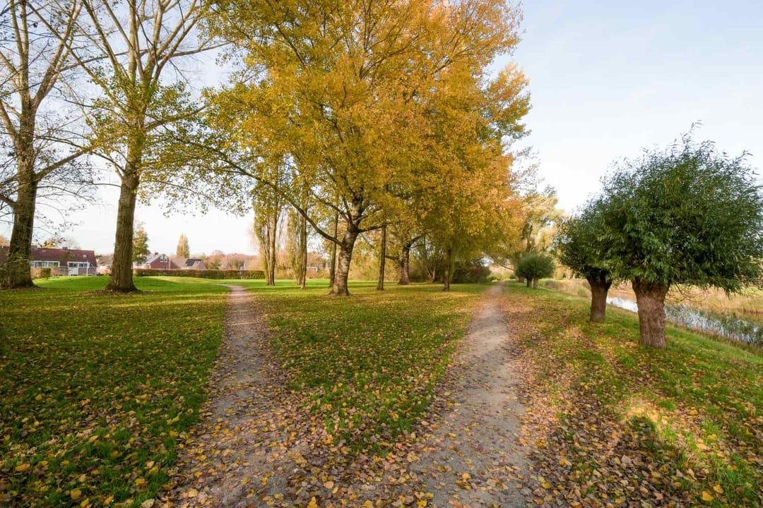 Foto 38 van Dorsvloer 62