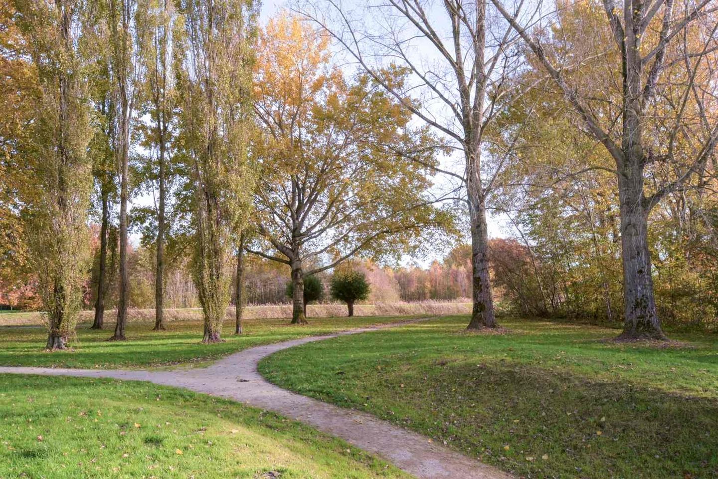 Foto 40 van Dorsvloer 62