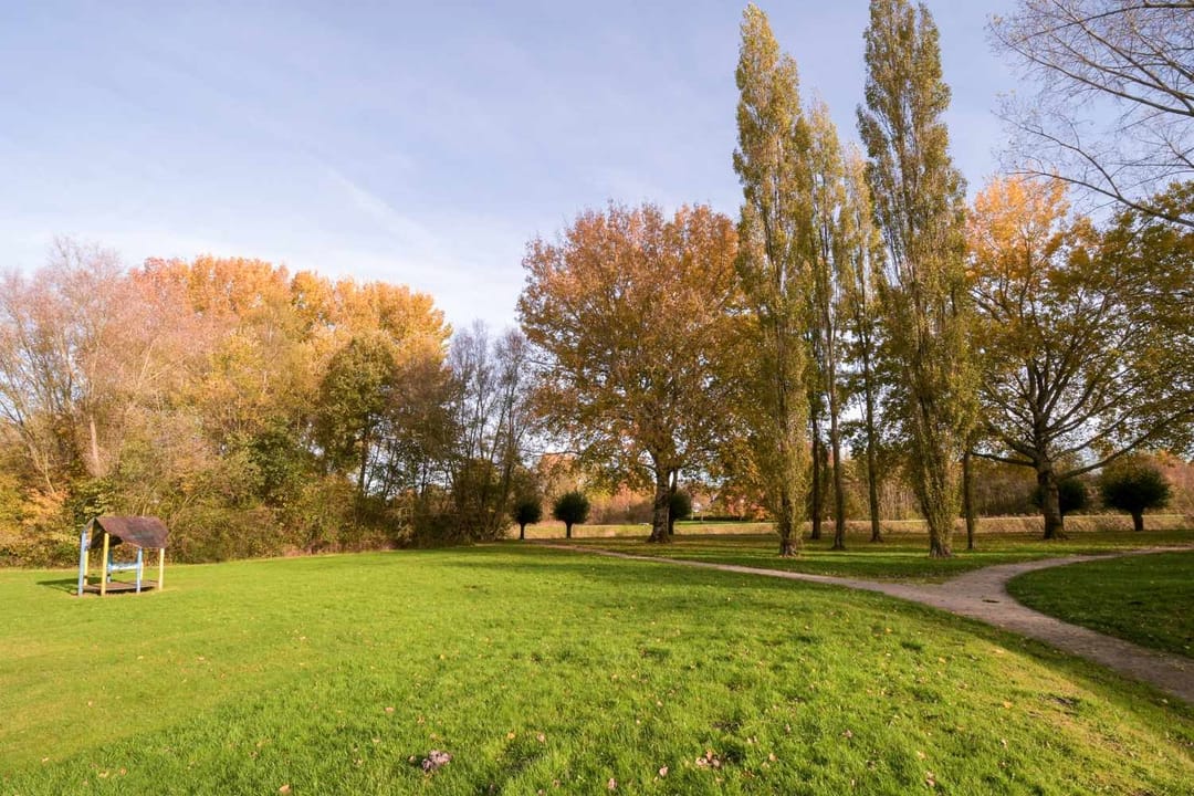 Foto 41 van Dorsvloer 62