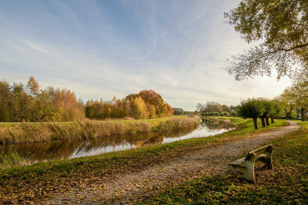 Foto 43 van Dorsvloer 62