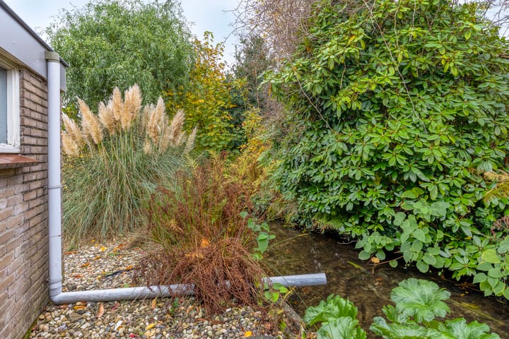 Foto 46 van Schaapsdrift Overbeek 19