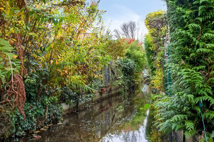 Foto 47 van Schaapsdrift Overbeek 19