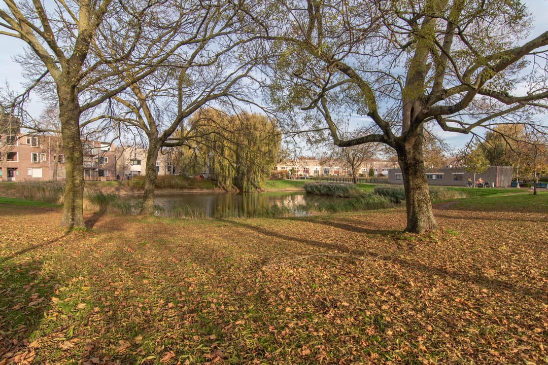 Foto 28 van Kraaienveld 111