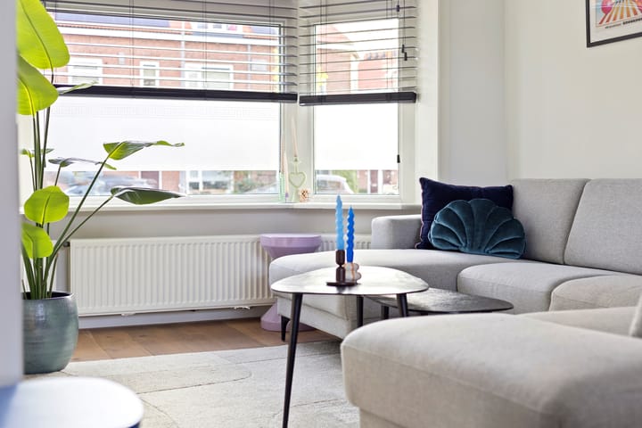 Foto 6 van Prinsesseweg 40