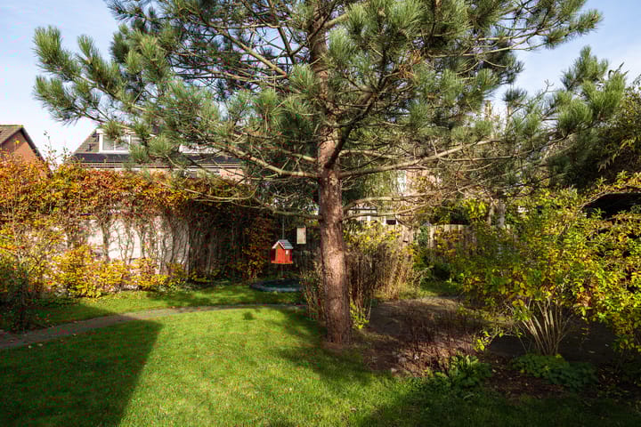 Photo 26 of Pinksterbloem 57