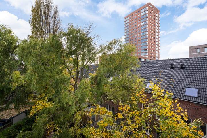 Foto 37 van Strevelsweg 222-A