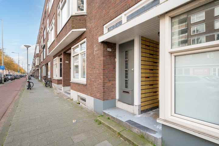 Foto 36 van Strevelsweg 222-A