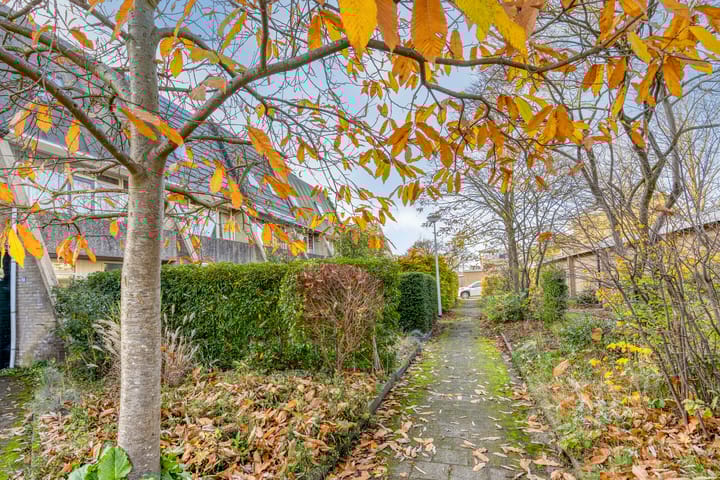 Photo 4 of De Schoren 57