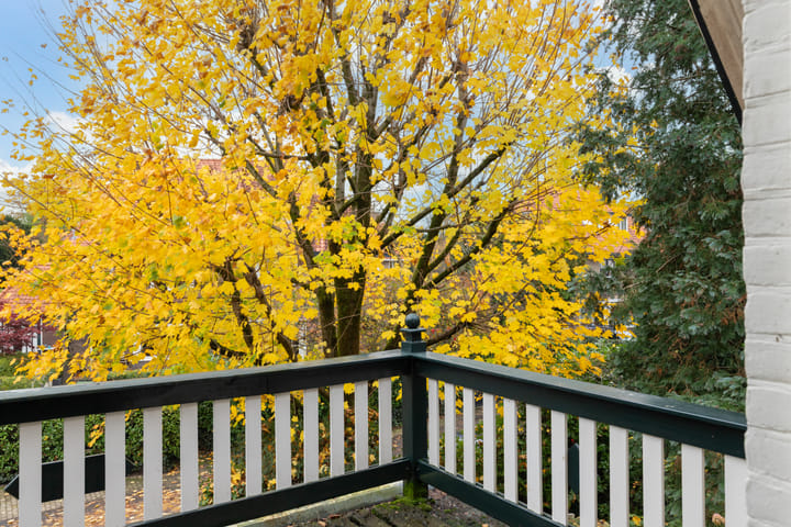 Foto 33 van Regentesselaan 21