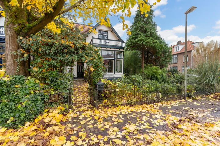 Foto 50 van Regentesselaan 21