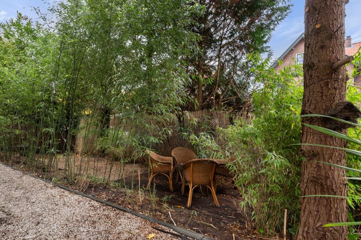 Foto 40 van Regentesselaan 21