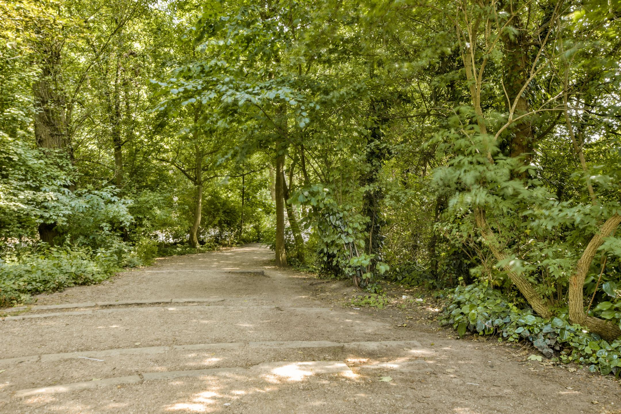 Photo 30 of Zocherstraat 75-2