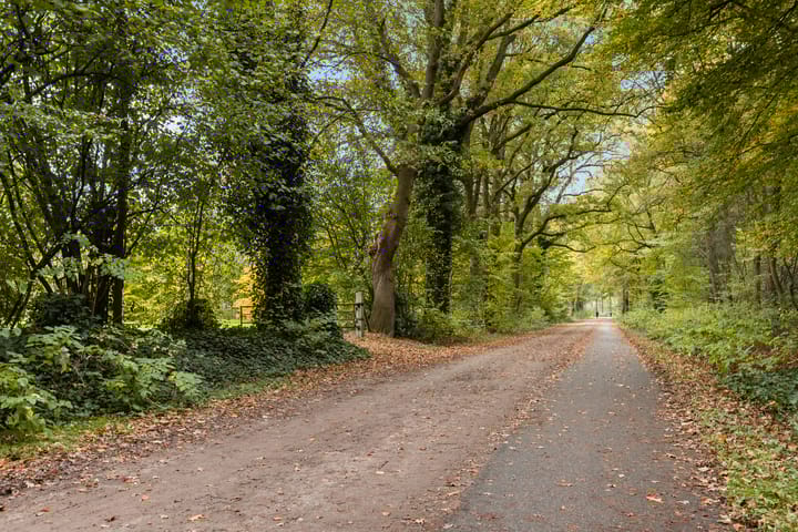 Photo 35 of Leeuwebek 22