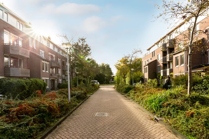 Photo 29 of Vleutenstraat 37