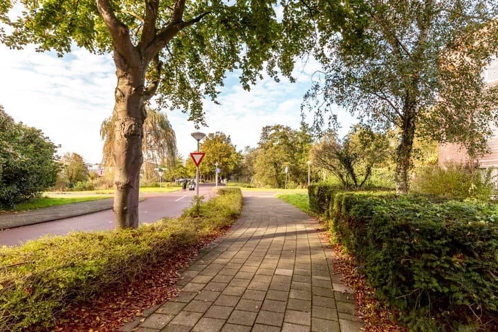 Photo 31 of Vleutenstraat 37