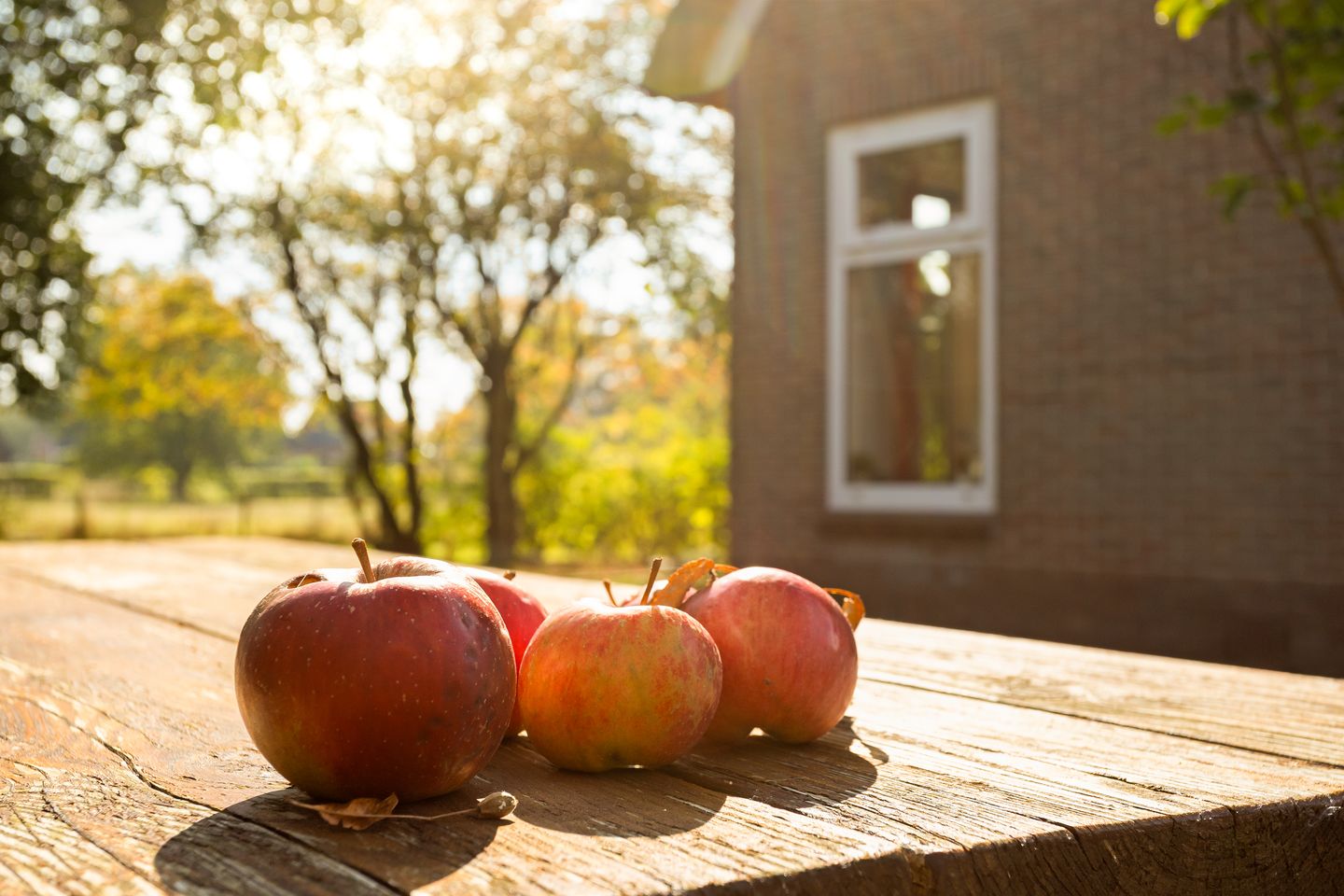 Foto 74 van Markeweg 15