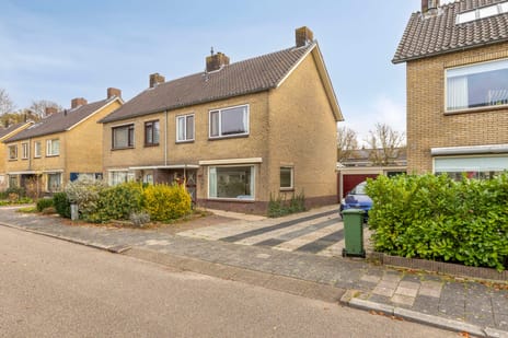 undefined main image