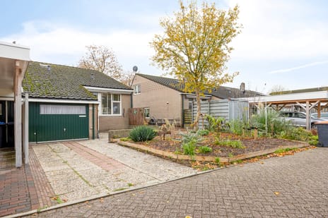 undefined main image