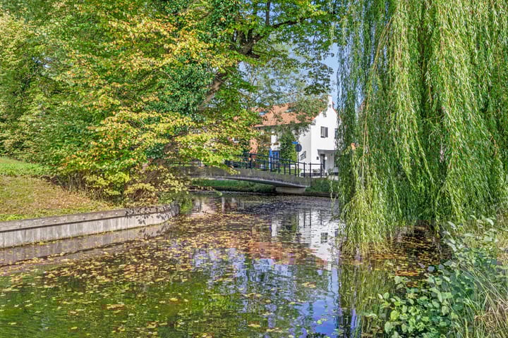 Foto 4 van Knijptang 1