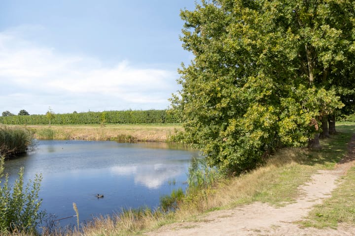 Photo 46 of Notarisappel 4