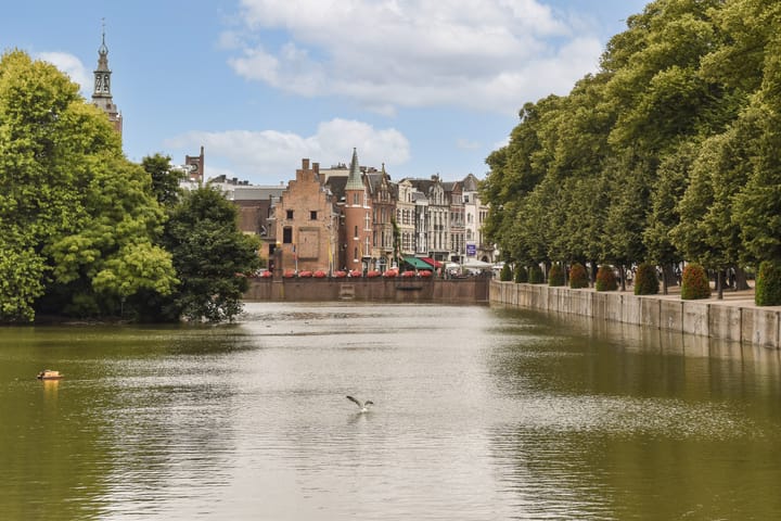 Photo 20 of Vondelstraat 117