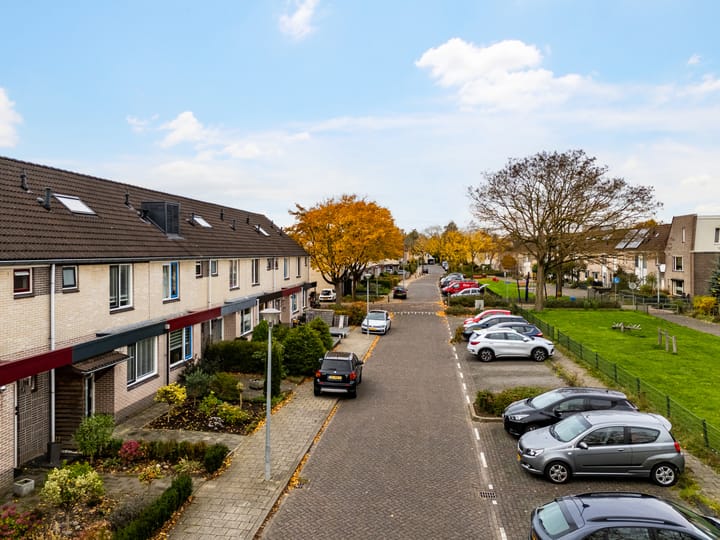 Photo 24 of Paul Rodenkolaan 54