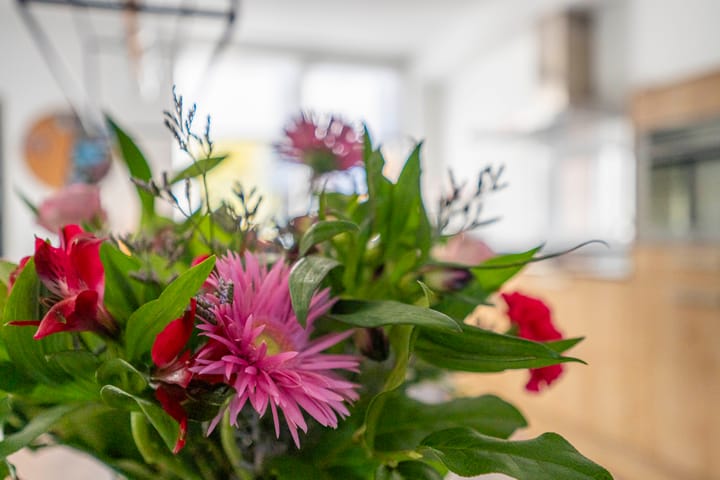 Photo 8 of Keulenheide 5