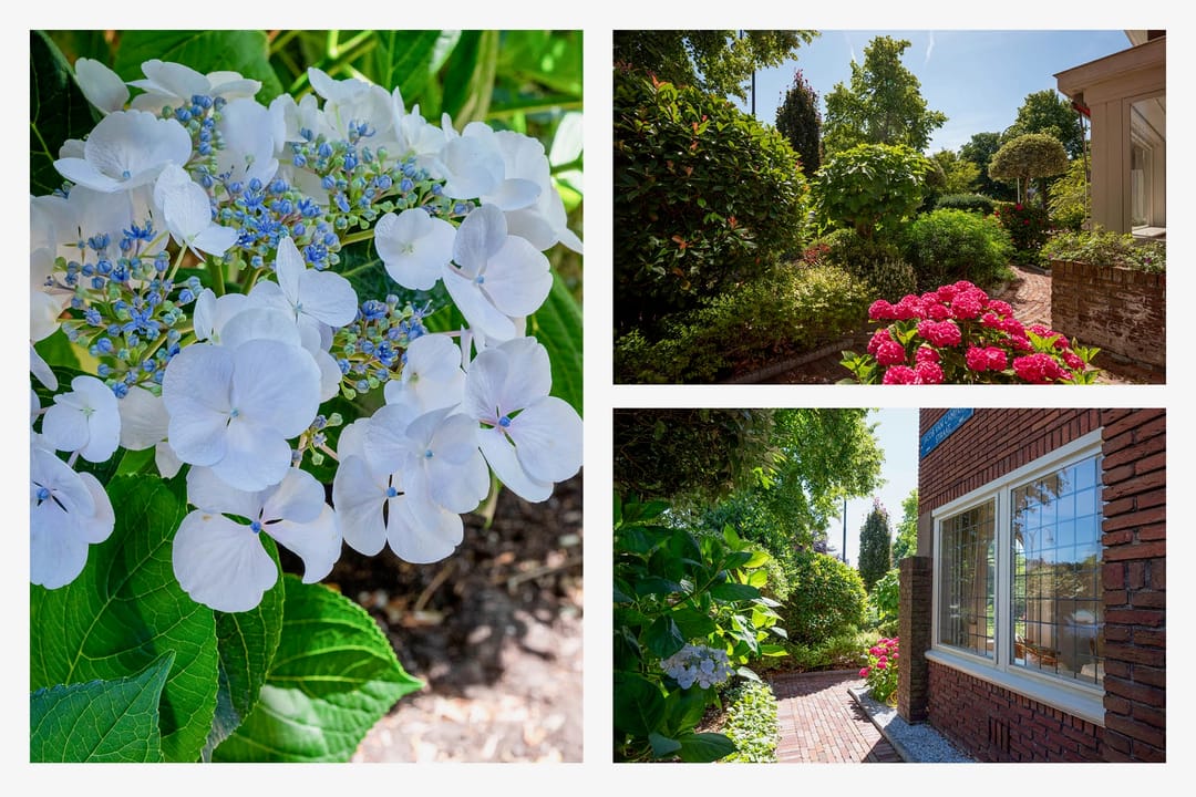 Photo 52 of Jacob van Campenstraat 26