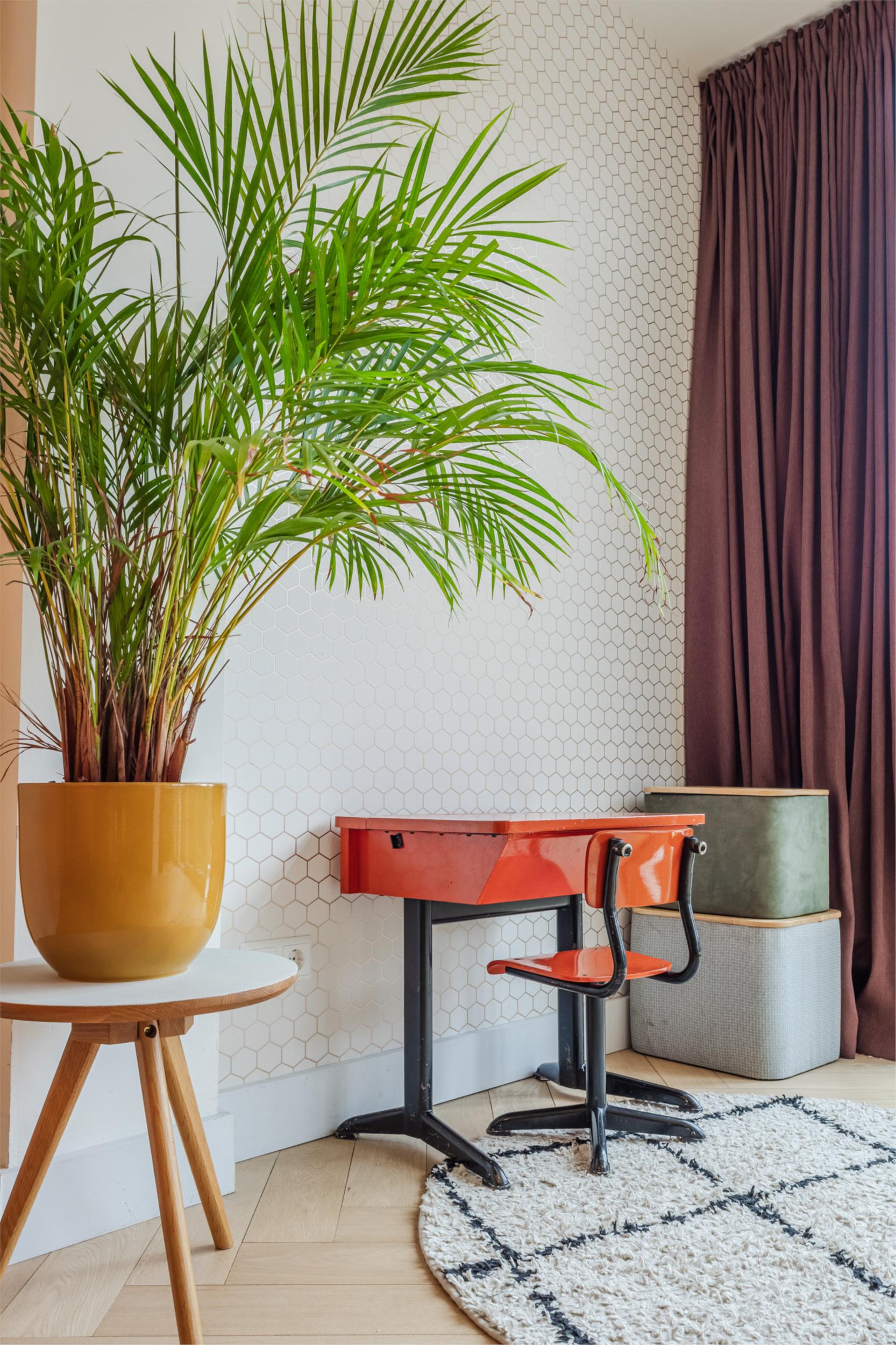 Foto 18 van Mesdaglaan 13