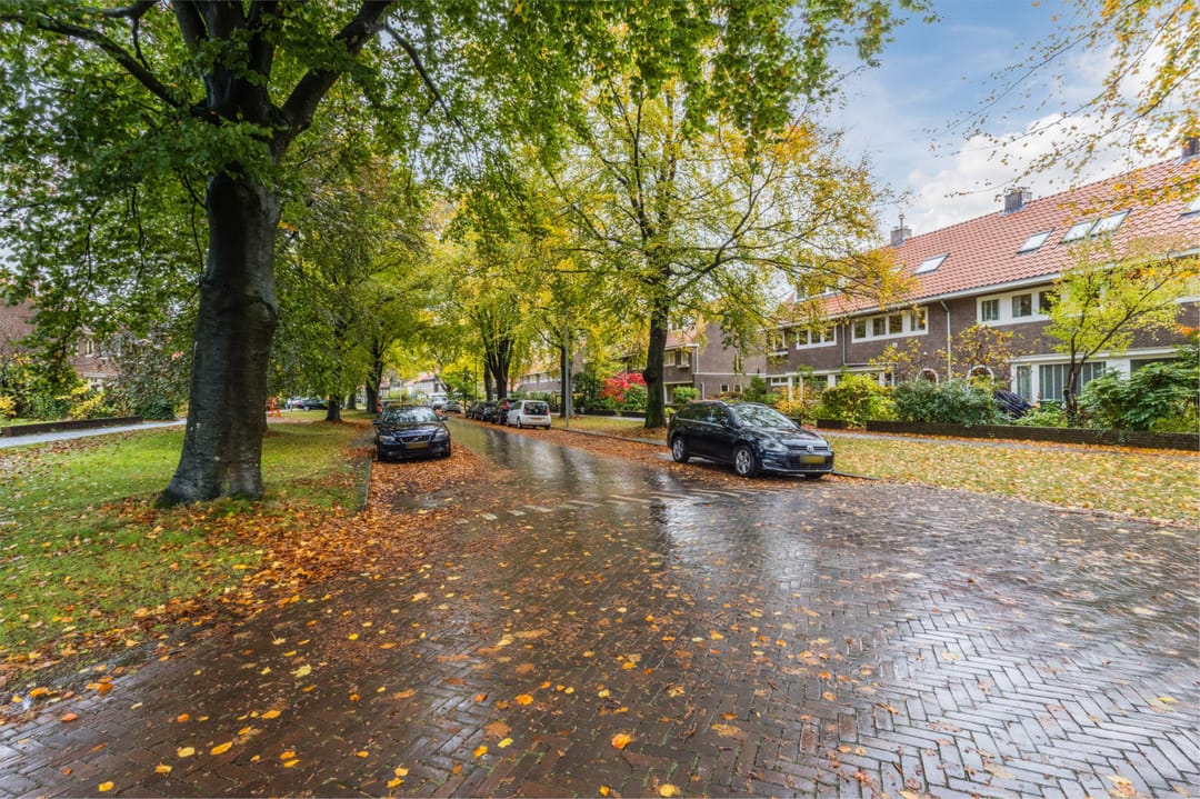 Foto 67 van Mesdaglaan 13