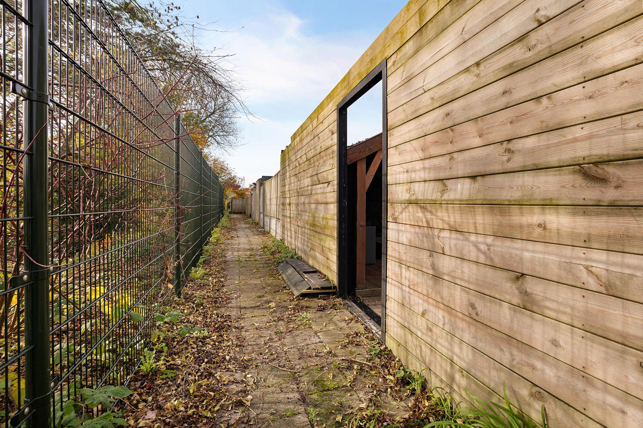 Foto 42 van Dibbitsstraat 19