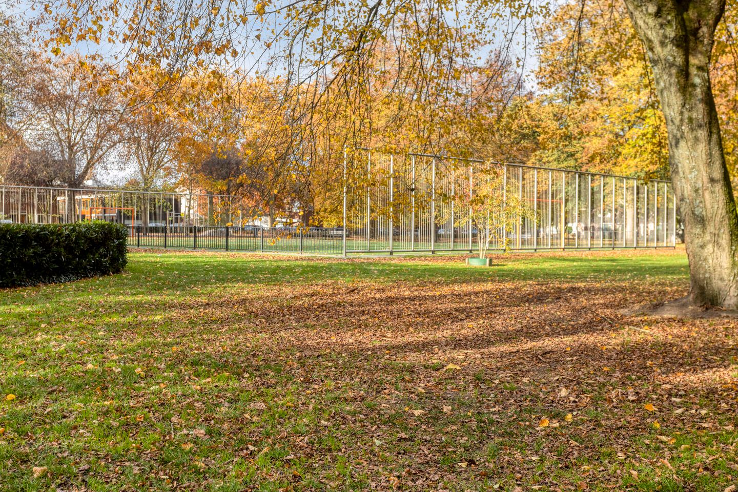 Foto 25 van Mechtildisstraat 2-18