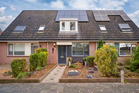 undefined main image