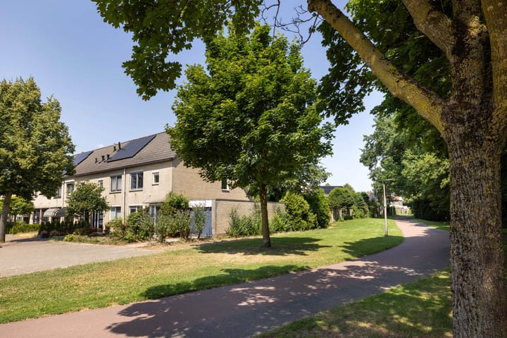 Photo 2 of Salamanderstraat 10