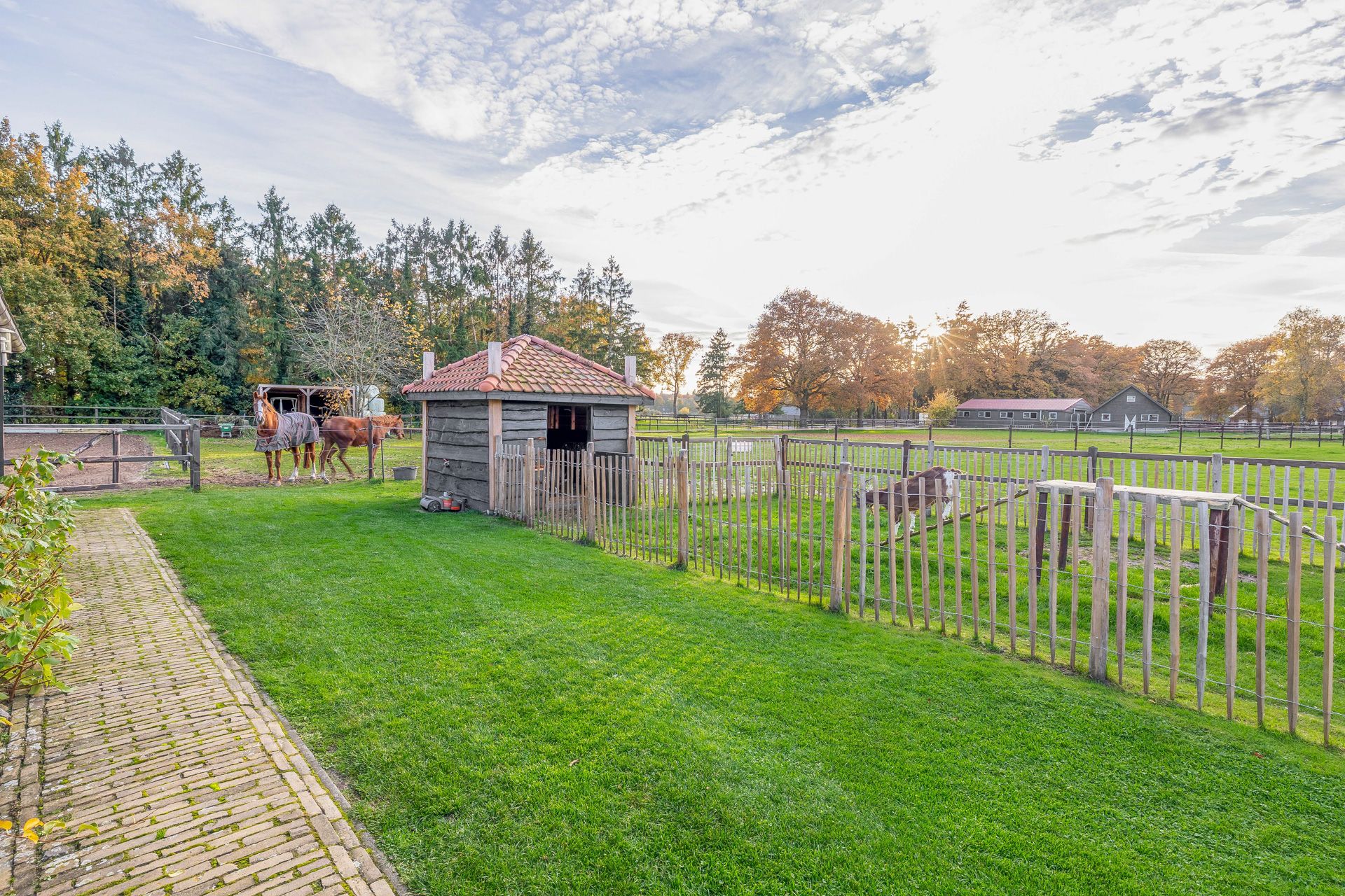 Foto 30 van Darperkerkweg 5