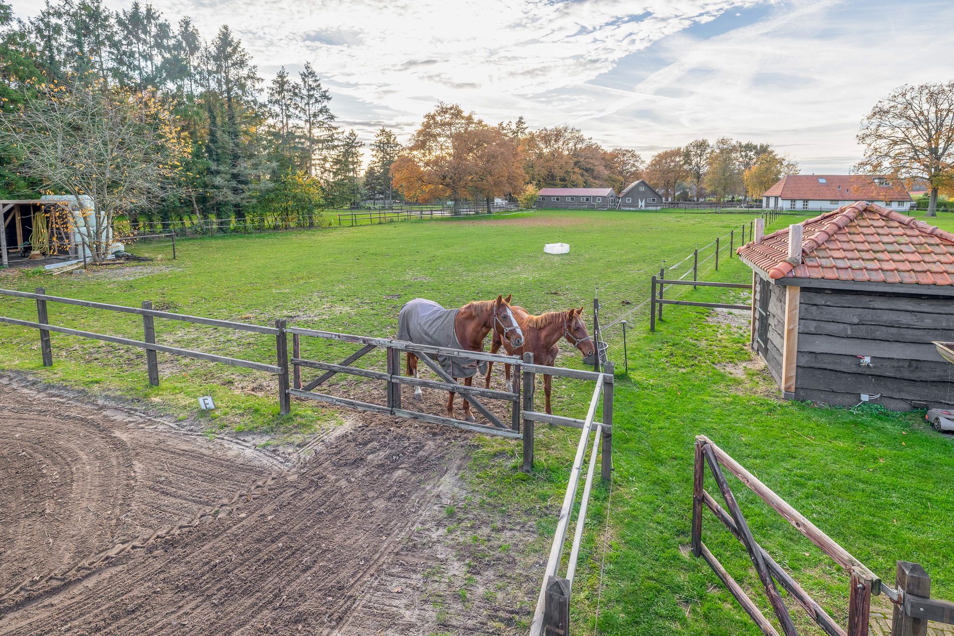 Foto 33 van Darperkerkweg 5