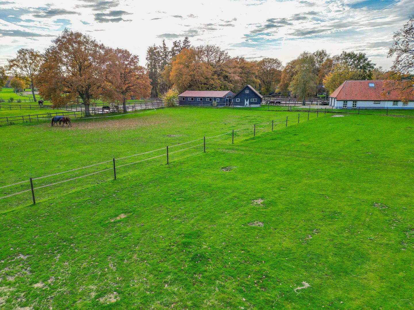 Foto 59 van Darperkerkweg 5