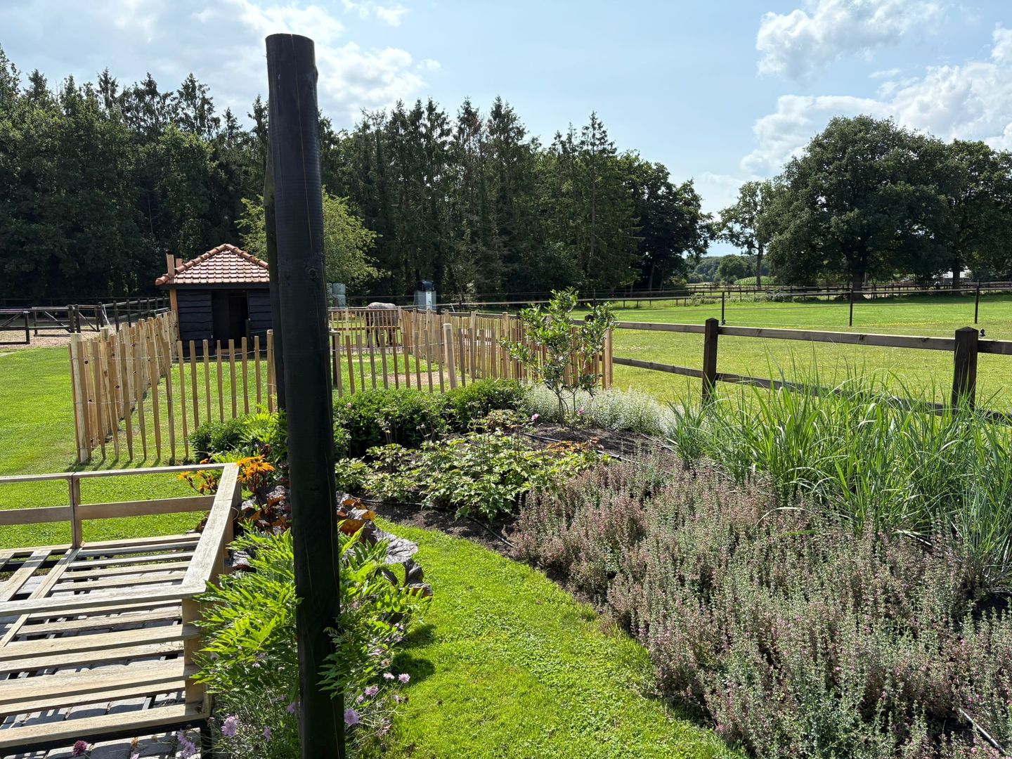 Foto 64 van Darperkerkweg 5