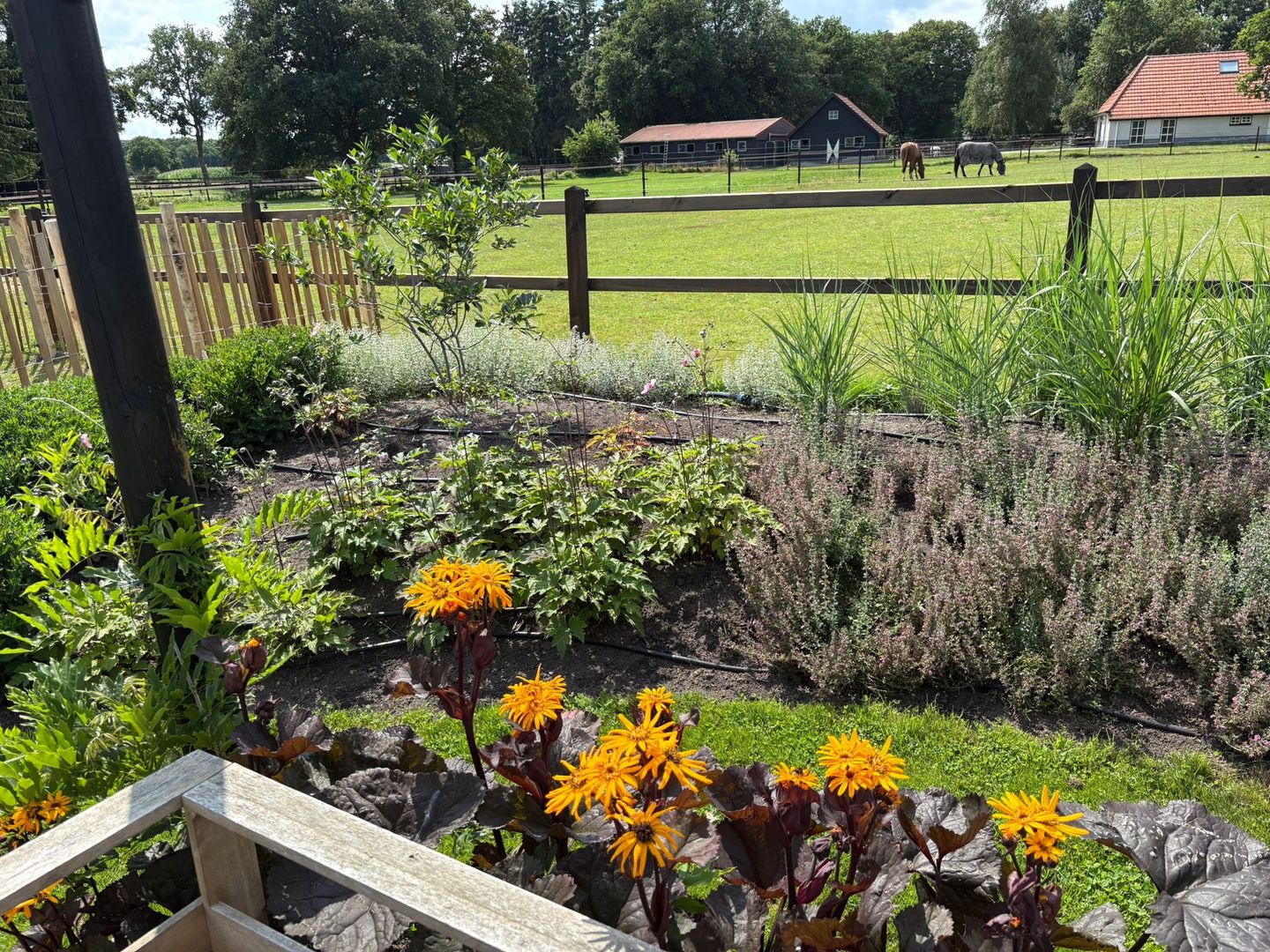 Foto 65 van Darperkerkweg 5