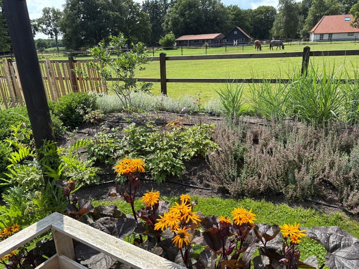 Photo 65 of Darperkerkweg 5