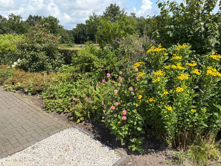 Photo 67 of Darperkerkweg 5