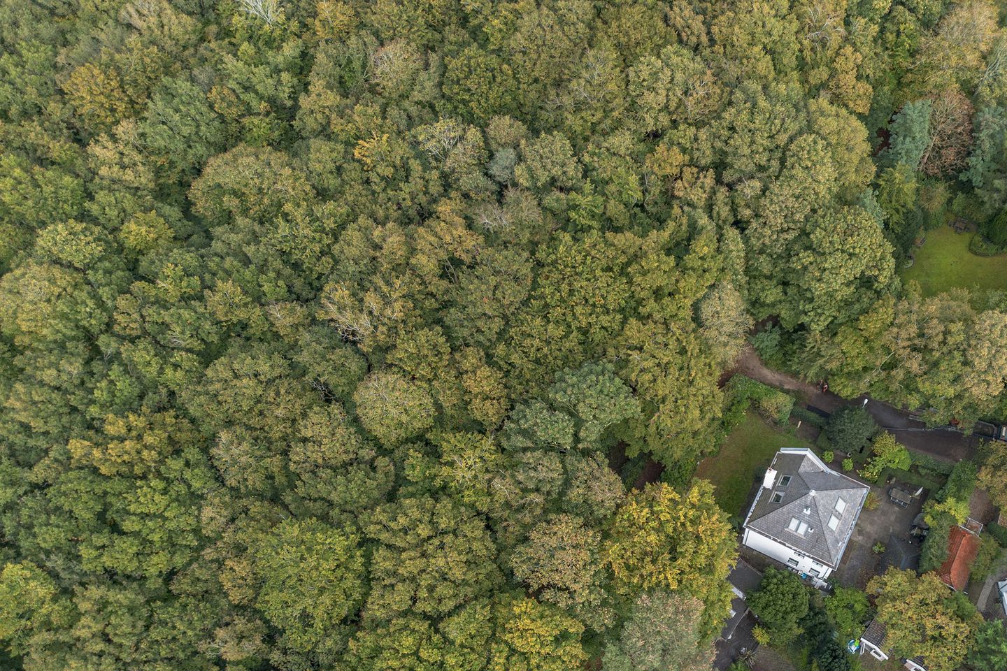 Photo 5 of Johan Verhulstweg 69