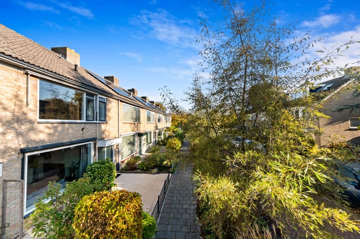 Foto 3 van Plantage 27